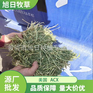 ����ACX��ޣ�� ţ���R������@�����ޣ���� ����о�w��
