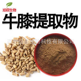 牛膝提取物30:1多规格水溶性川牛膝粉牛膝原料粉珀菲现货