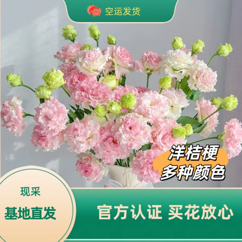 Цветочная база Юньнань прямые эустомы