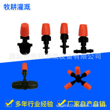 ���^��ɫ���{���P�]�F�����^�����^�@�ֹ�ȇ��^ͥԺ��픽��س��m