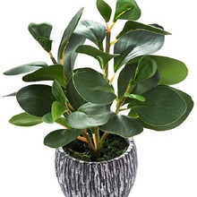 ������������ֲ�����ԶY��Gֲ����[���҃ȾƵ�Ҿ��b羳�F؛