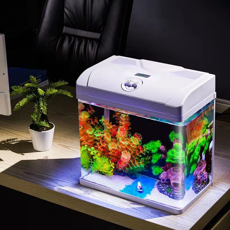 (Wholesale), small creative glass aquarium, custom-made