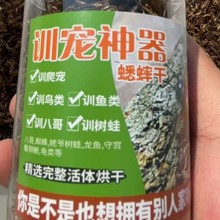 ����ɟo��̎���،m��������ߵ����،m�ZС�͌�������ιʳ