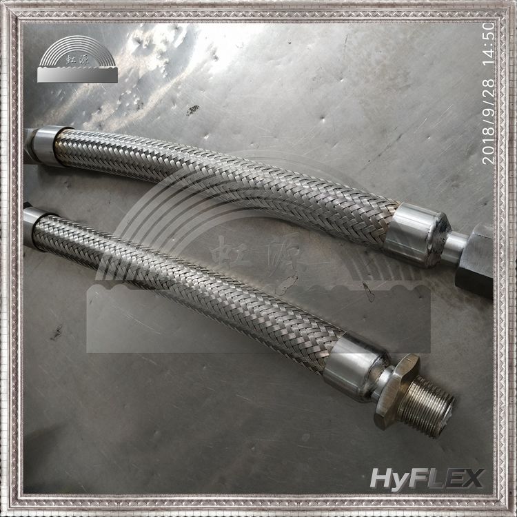 Դ νͷD 304ֲƹ ͷĸӻ