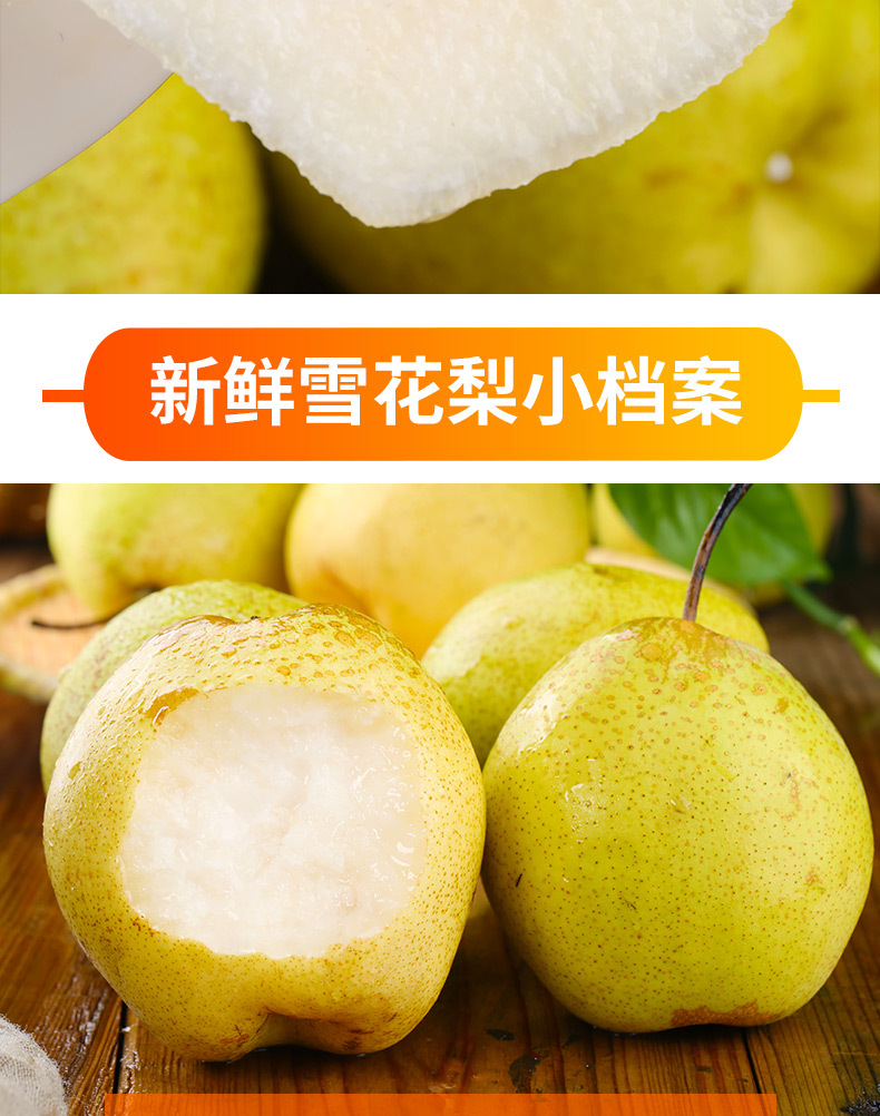 雪花梨1_11