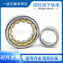 SKF圆柱滚子SKF轴承NU NJ2219 NJ2220 NJ2222 NJ2224ECM ECP