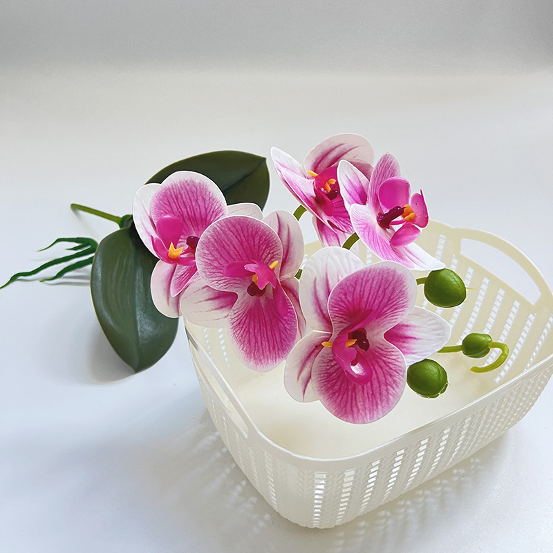 스트라이프 파우더 (높이 37*가로 14CM)