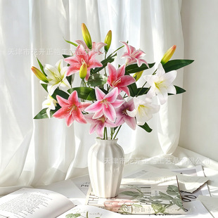 �������^��ˮ�ٺϻ���Ů�ٺϼҾӲ廨��ˇ��cӆ�鱳���b��ϻ�