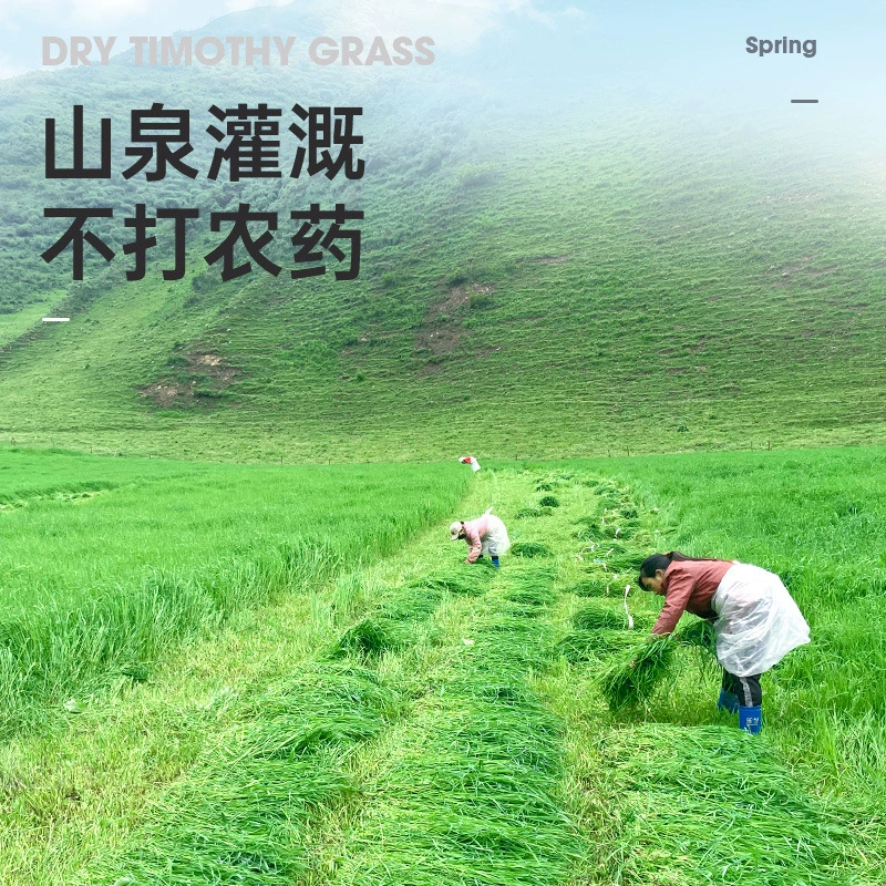 Питомник Sinian Fresh Cao Timorei Grass High Fiber Totoro Основная пища для кроликов зерно травяной травяной мох сухая трава