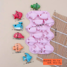 �F؛ 12�B6�N�����~����͹��z�ɿ�����ģ�߲�������ģ�ε��zģ��