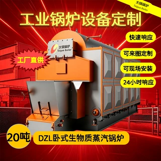 定制全球20吨链条燃生物质蒸汽锅炉欧洲跨境出口自动燃煤蒸汽锅炉