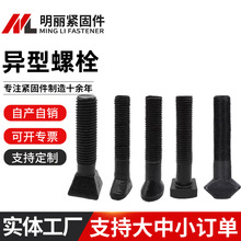 厂家批发高强度螺栓细牙全牙氧化发黑T型头螺栓斜边螺栓异形螺栓