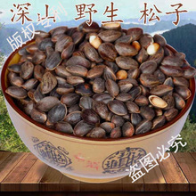原味新鲜松子散装生的一斤称大颗粒整箱特级壳云南落水薄5皮新货