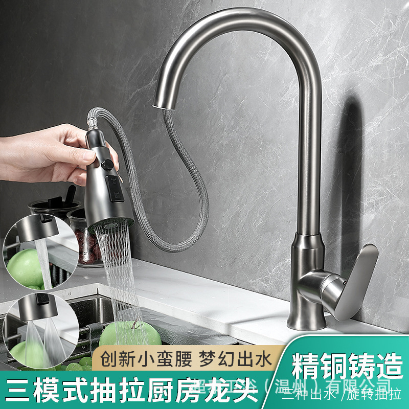 Foreign Trade Kitchen Pull-Out Faucet All-Copper 304 Stainless Steel Double Water Outlet Hot and Cold Sink Sink Extension