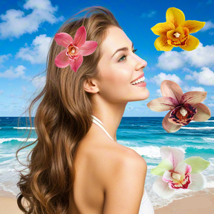 �羳�¿�3D����ޥ�m���l�A�͹��b�h���^����ׁ��ȼ������^��Ů