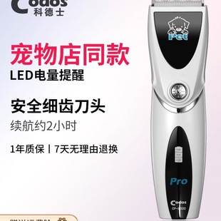 8000������ë��������Ƽ����ӹ�ë؈���޼�ë�������Ì��I