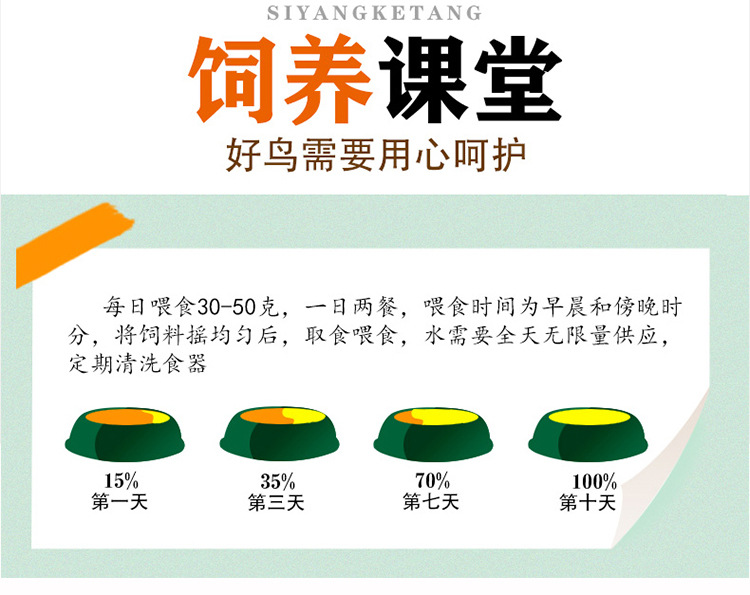 八哥粮详情--批发_05