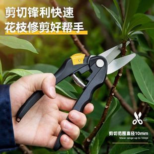 Deli gardening fruit tree scissors pruning branches potted plant artifact household greening scissors branch pruning scissors special tools