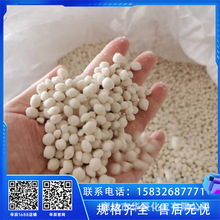 ����������w�w��/Ƭ����ѩ�� �ֵ�С�^��ѩ�ڱ� ��ϭh����