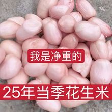 当季新产新花生米甄选花生现剥白沙花生花生米白沙新货25年甄选