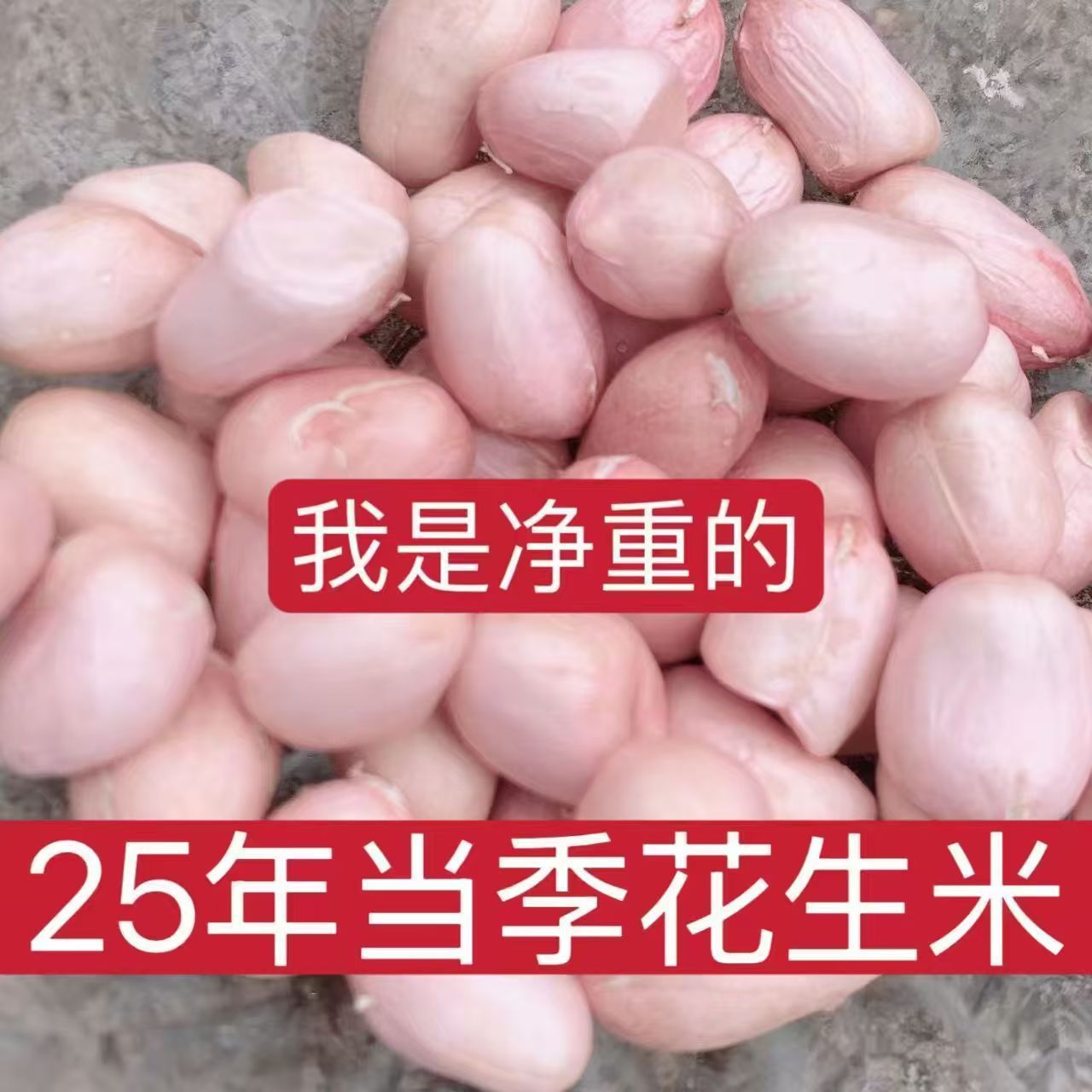 当季新产新花生米甄选花生现剥白沙花生花生米白沙新货25年甄选