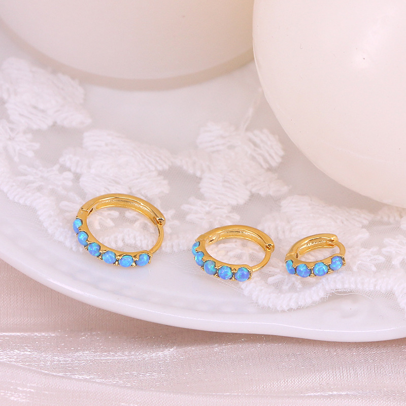 4g Weight Gem Inlay Material Hoop Earrings, Earrings, Ear Studs Classification 1 Piece 925 Sterling Silver Geometric Round Gem Hoop Earrings Earrings Ear Studs