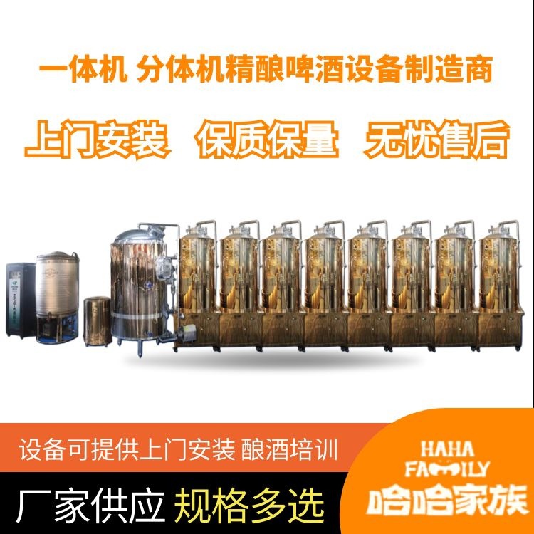 精酿啤酒设备酒吧酒馆烧烤店用酿造全套生产厂家糖化自酿食品级
