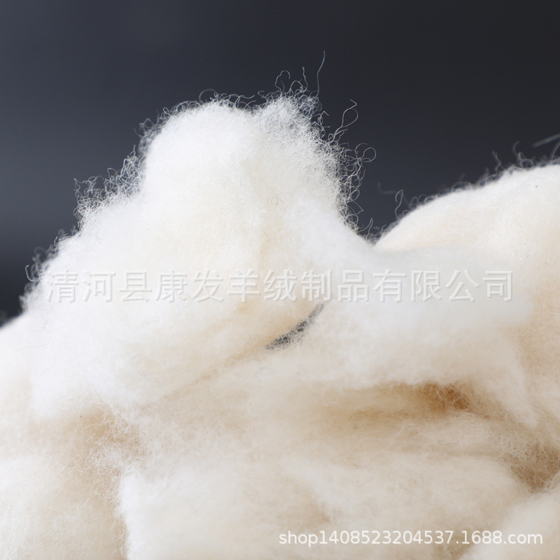 1P7A7168