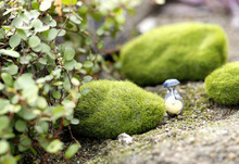 ΢���^���Bƿ����di�����ƺ��̦̦�\ʯ�^�����ֹ�ˮ����Gֲ����