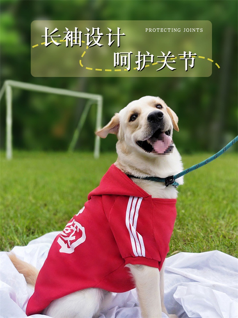 큰 개 개 옷 가을과 겨울 새 래브라도 황금 리트리버 국경 동물 축산 차이 개 중간 애완 동물 따뜻한 겨울 옷