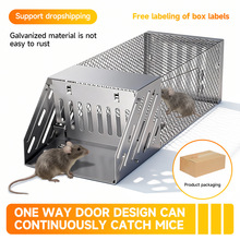 mousetrap\Bm\Q羳Rdһl