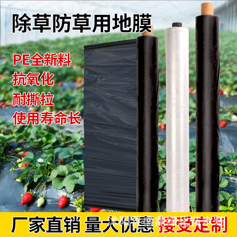 Black Mulch Film, New Weed-proof Agricultural Planting Vegetables, Strawberry Weeding Film, Insulation and Moisturizing Orchard Thickeneded Plastic Film
