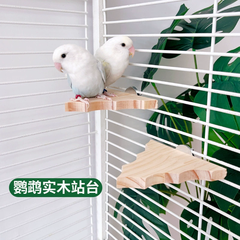 Подставка для попугая из цельного дерева, деревянная игрушка для попугая, пион, черный феникс, тигровая кожа, жевательная пересадочная платформа, деревянная платформа для лазания и прыжков для птиц