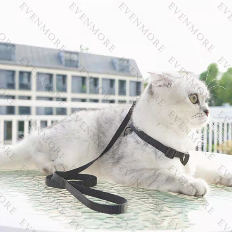 Correa para mascotas correa de perro Cadena de perro en forma de I mochila correa de pecho suministros para mascotas correa de perro en stock al por mayor