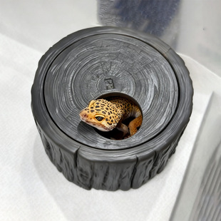 ������ܸC���֭h���޽Ǳ��y�،m�����ߘ䶴�䘶�쾰�b����xˮ��