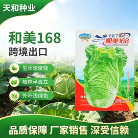 蔬菜种子
