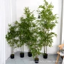盆栽仿真加密拆卸竹子