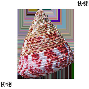 С�t���݌�����ˮ���~���쾰����Y��M���]��Ȼ����ؐ���t���R��