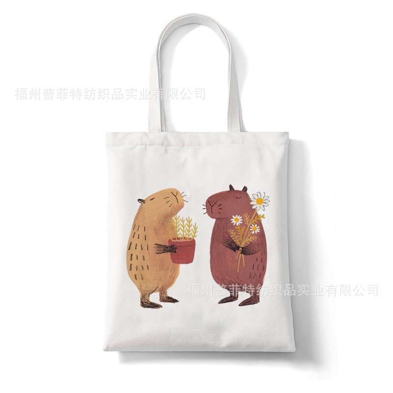 cartoon cloth bag