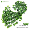 [56片过胶绿萝(1条的价格)]