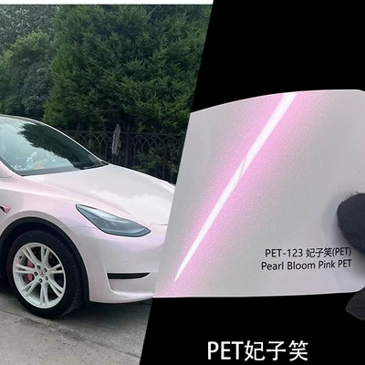 Auto Color Change Film — to Install - pet-concubine-laughs-152-17m-pet-bottom