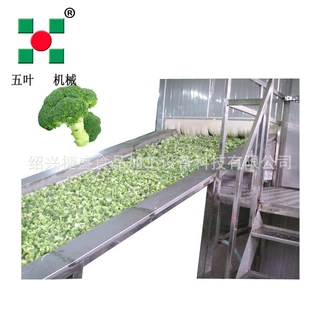 流态化板栗速冻机 商用蔬菜丁西兰花速冻设备 多功能单冻机