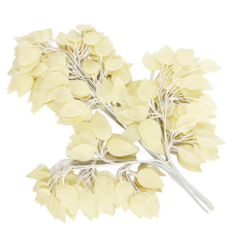 Ruban Banyan feuille de champagne