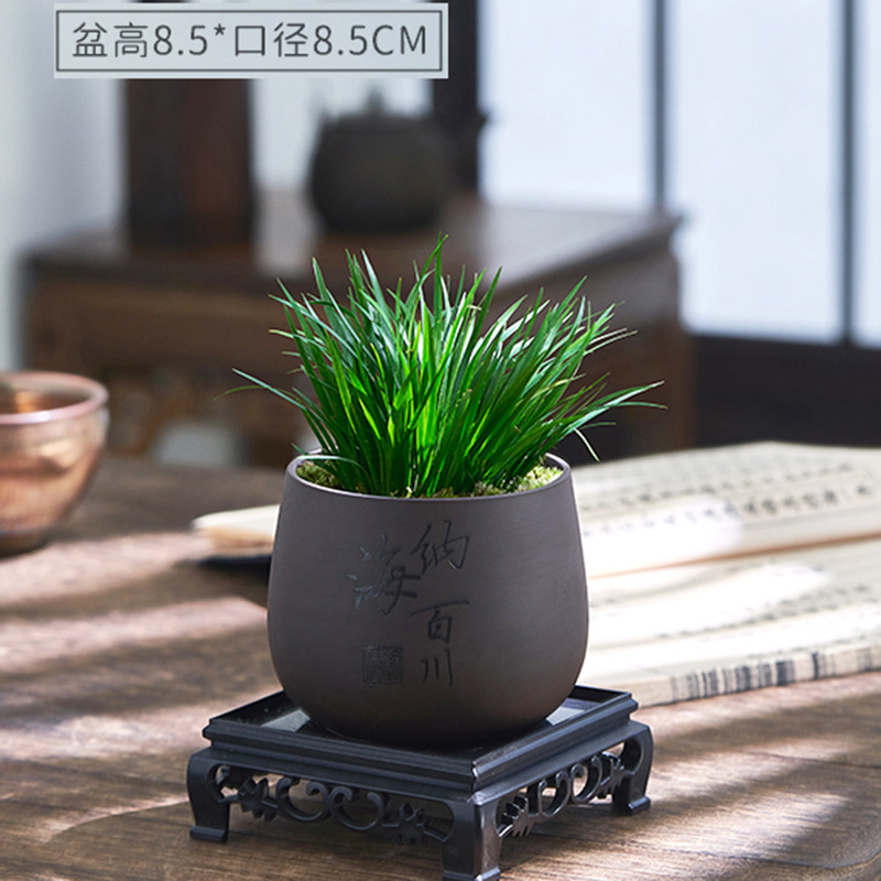 Dinero Acorus acorus bonsai pequeña maceta de oficina decoración de mesa de té modelado Zen迷 interior micro paisaje flor verde