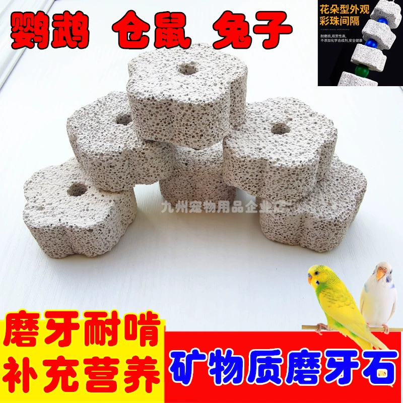 Попугай Птица ест кость каракатицы Натуральный кальций молярный камень хомяк Вулканическая скала Тоторо кролик голландская свинья зоотовары