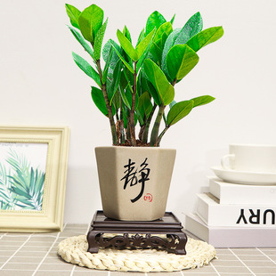 ���X�����ԾGֲ�҃ȿ͏d���B�����^�ļ������մ�С�辰�u�X�䴮��