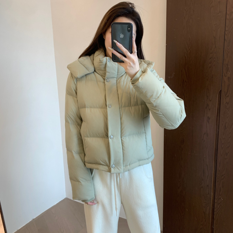 90白鹅绒700+蓬松度轻盈饱满温暖小个子可拆卸连帽鹅绒服YR1612XG