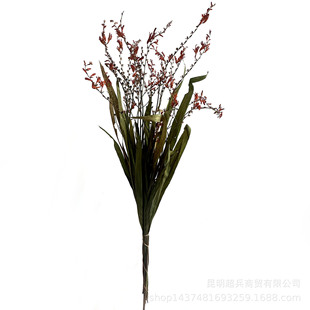 [dried flowers and flame orchid] dried flowers and hay and flame orchid harm house flower arrangement bouquet