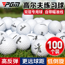 PGM�ߠ��������������p�������Δ�2000�������̓��ʹ�