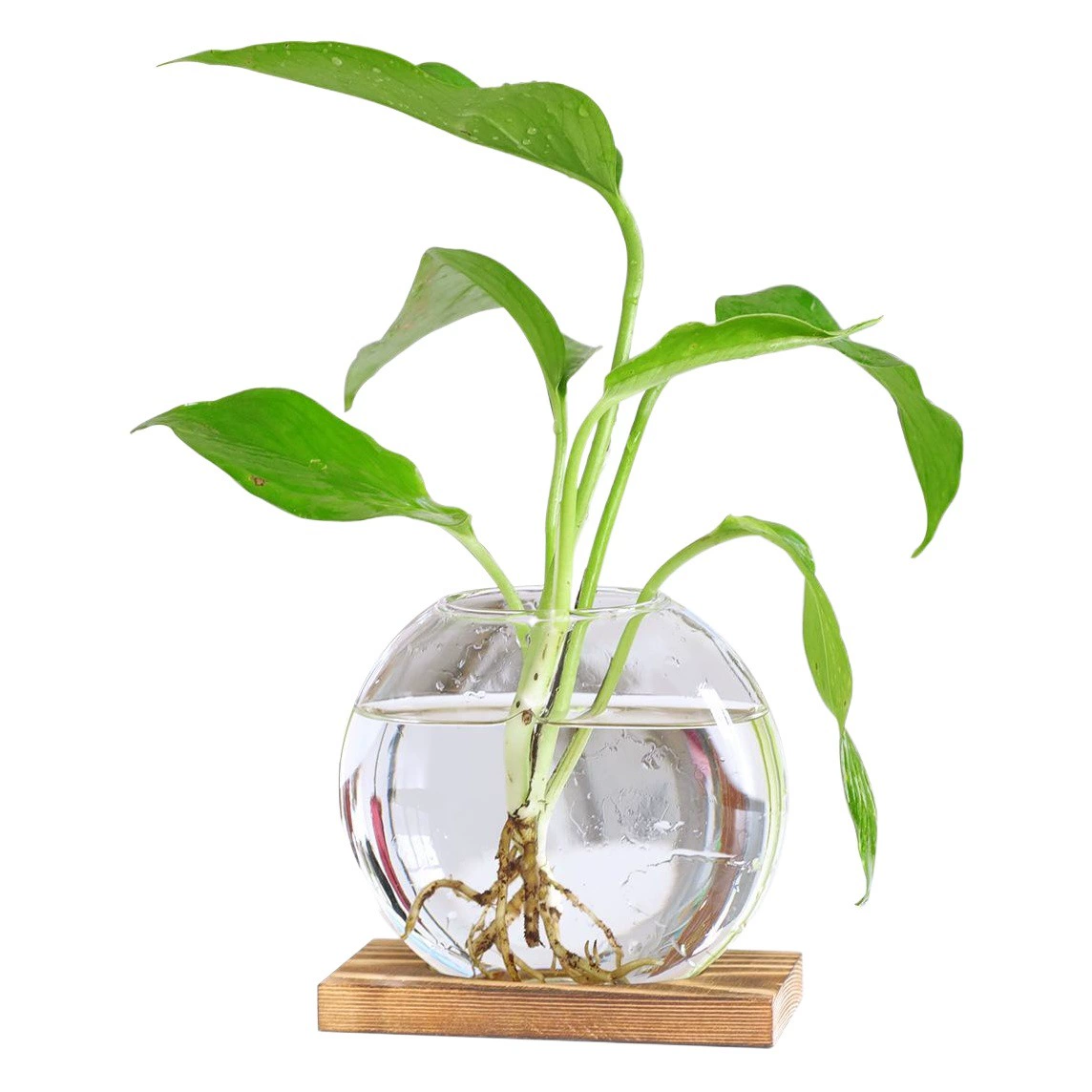 Креативный скандинавский стиль, деревянное искусство, гидропонные украшения, ваза для гостиной, украшения дома, офисная мебель для рабочего стола